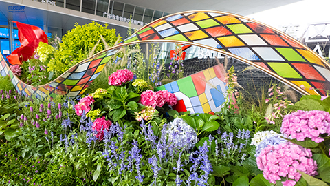 IM������(�й���)�ٷ���վ -APP����