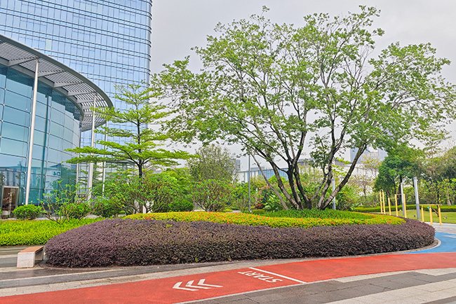 IM������(�й���)�ٷ���վ -APP����