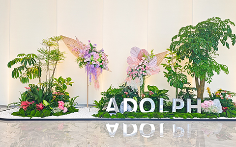 IM������(�й���)�ٷ���վ -APP����