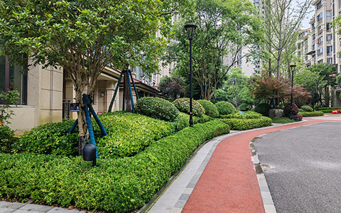 IM������(�й���)�ٷ���վ -APP����