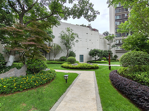 IM������(�й���)�ٷ���վ -APP����