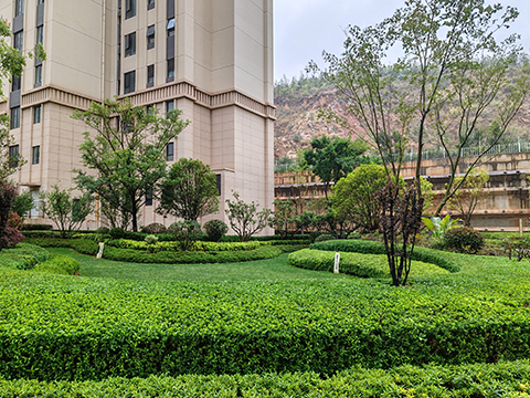 IM������(�й���)�ٷ���վ -APP����