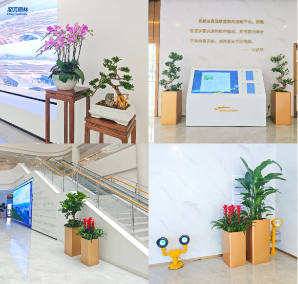 IM������(�й���)�ٷ���վ -APP����