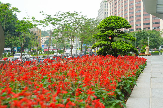 IM������(�й���)�ٷ���վ -APP����