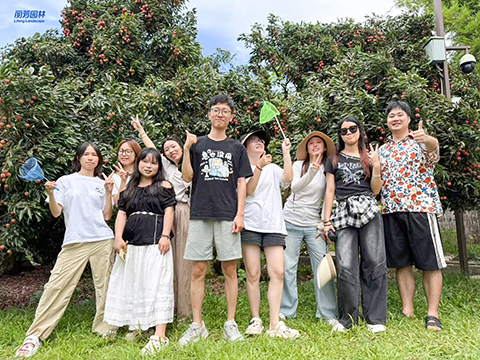 IM������(�й���)�ٷ���վ -APP����