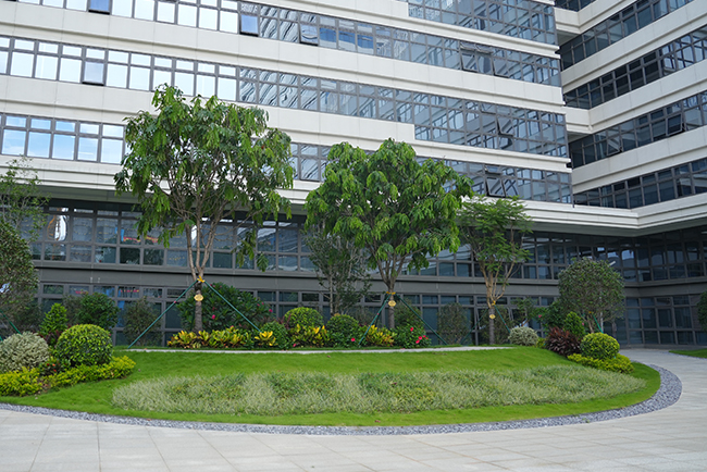 IM������(�й���)�ٷ���վ -APP����