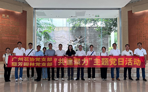 IM������(�й���)�ٷ���վ -APP����