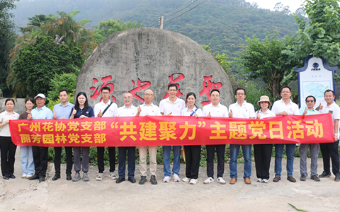 IM������(�й���)�ٷ���վ -APP����