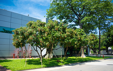 IM������(�й���)�ٷ���վ -APP����