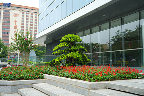 IM������(�й���)�ٷ���վ -APP����