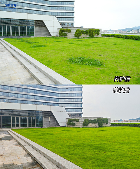 IM������(�й���)�ٷ���վ -APP����