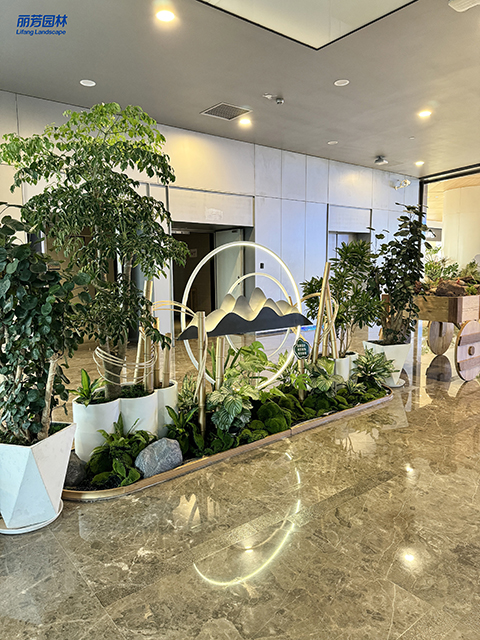 IM������(�й���)�ٷ���վ -APP����