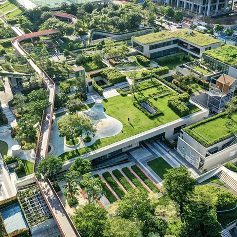 IM������(�й���)�ٷ���վ -APP����