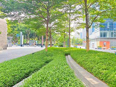 IM������(�й���)�ٷ���վ -APP����