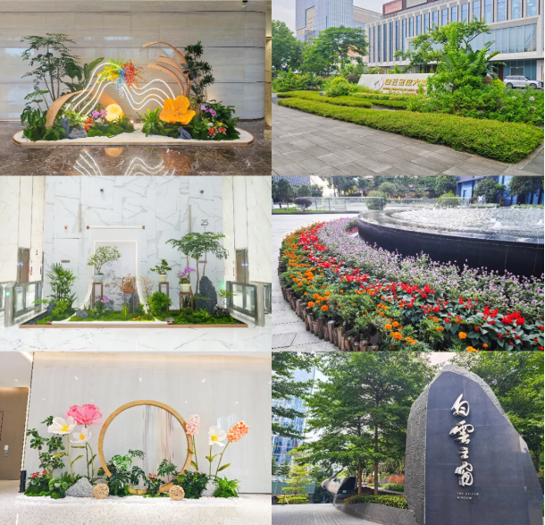 IM������(�й���)�ٷ���վ -APP����