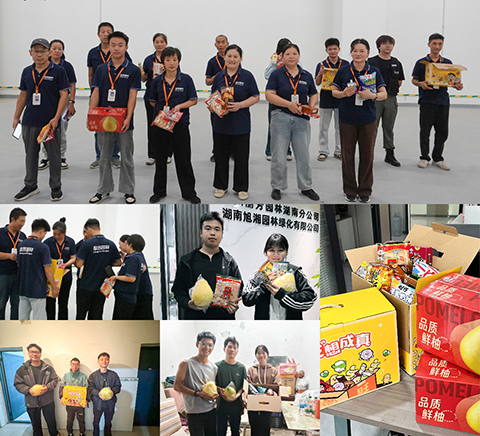 IM������(�й���)�ٷ���վ -APP����