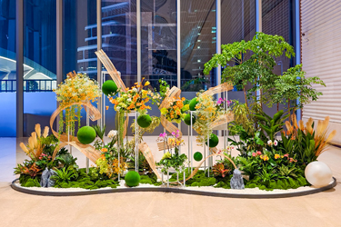 IM������(�й���)�ٷ���վ -APP����