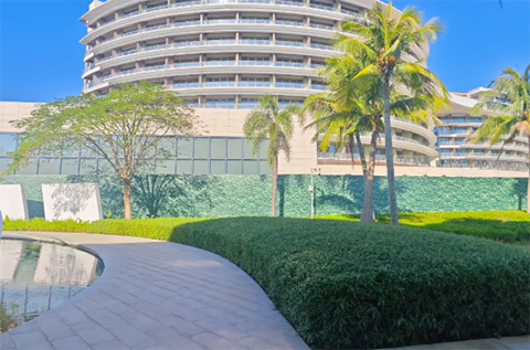 IM������(�й���)�ٷ���վ -APP����