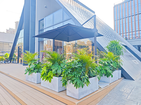 IM������(�й���)�ٷ���վ -APP����