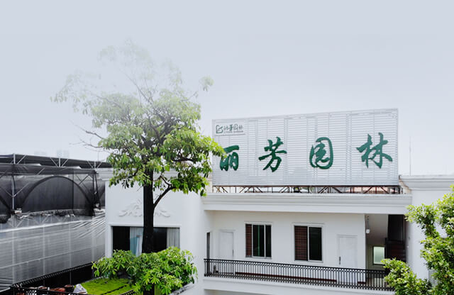 �ɹ�����������