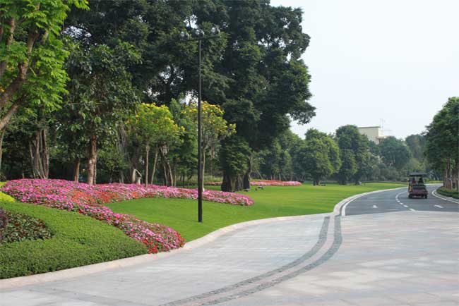 ��ɳ����Ҽ��