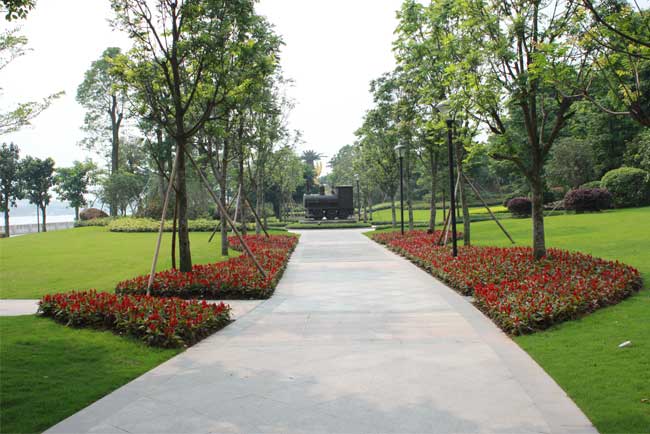 ��ɳ����Ҽ��