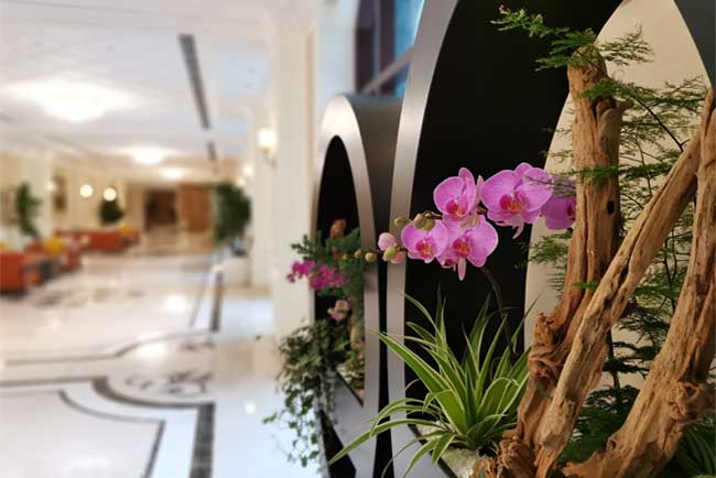 ��Ϊ�������ܲ���