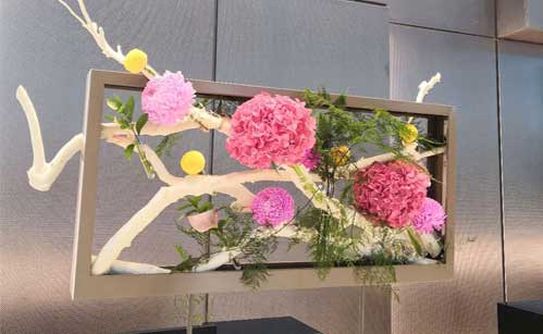 IM������(�й���)�ٷ���վ -APP����