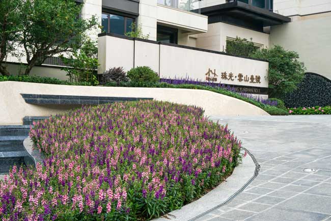 �����ɽҼ�Ż������