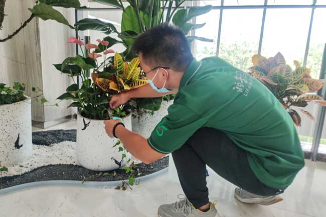 ����ǰ�����ʻ���������ֲ����