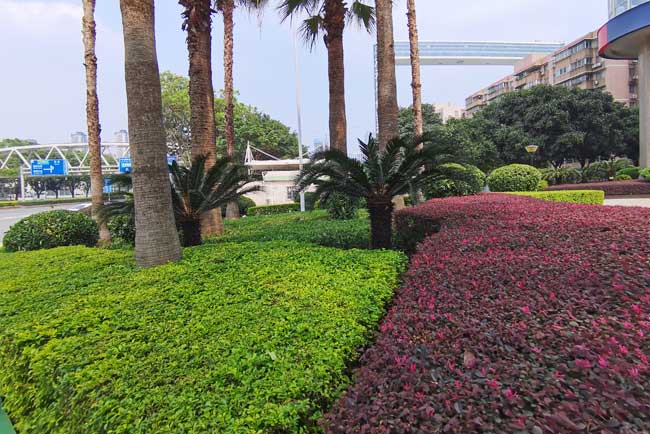 ������������