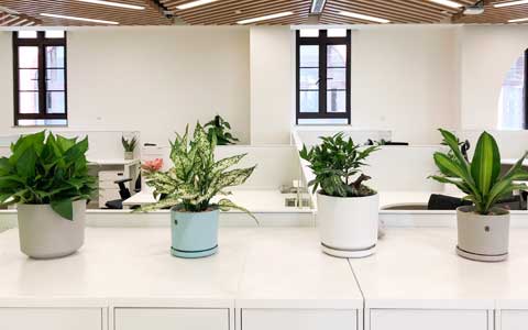 �칫������ֲ����ô������������ǧ��Ҫ����