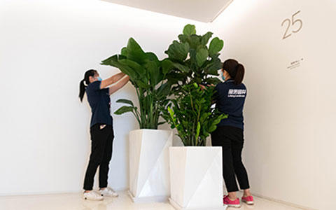 IM����԰�֣��ʺϰڷŰ칫�ҵ���ɫֲ��