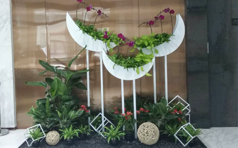 ���ݰڷŹ�˾���������� ��ֲ���޼�ֵ��