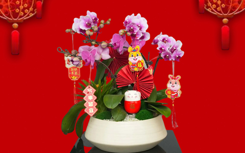 �껨��俪 | IM����԰���´���ۺ��껨����ԤԼ