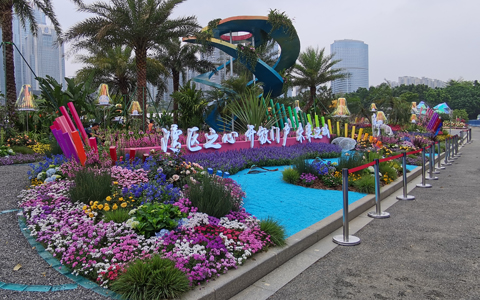 ��29��԰���ῪĻ��IM����԰�ֲ�չ���»��3��