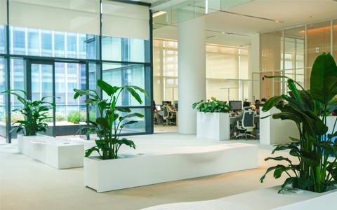 IM����԰�ְ칫����ֲ�ڷŽ��󡢷�ˮ,���б�Ҫ֪·!