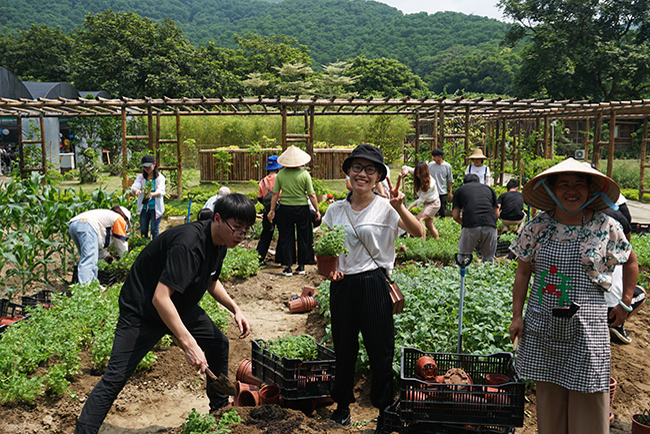 IM���������