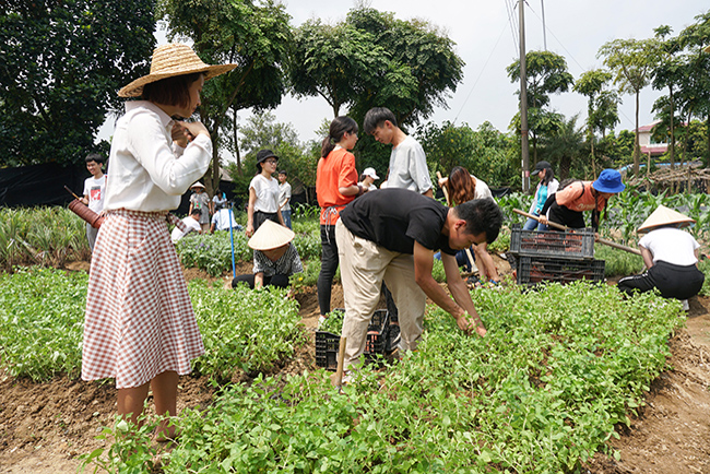 IM���������