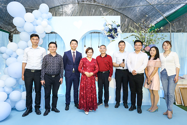 IM���������