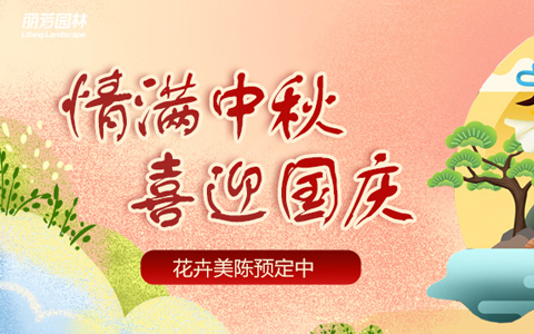 IM����԰��2022��������������м�ʢ��ԤԼ��