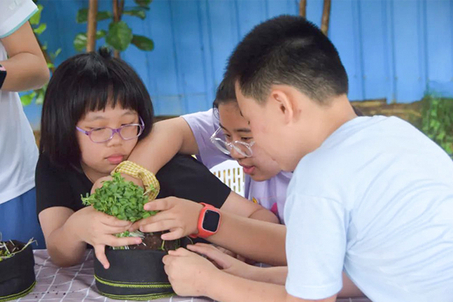 IM������������Ӫ