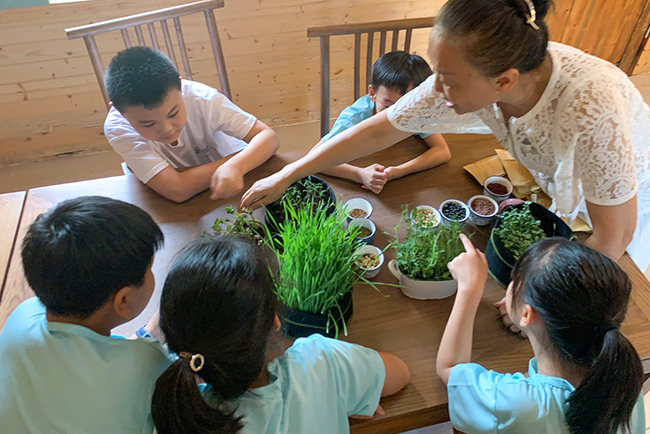 IM������������Ӫ