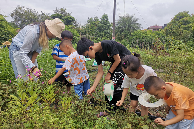 IM������������Ӫ