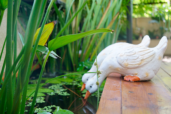 IM��������¶̨�������