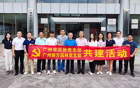 IM������(�й���)�ٷ���վ -APP����