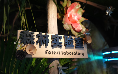 �����龰��������������԰����԰�տ����龰������