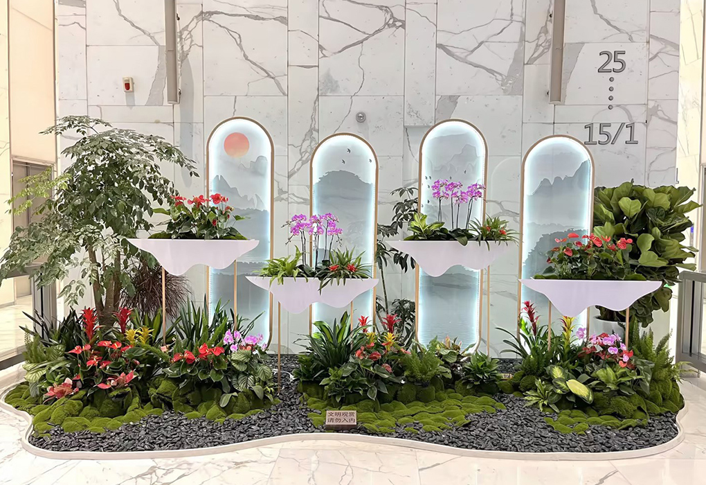 IM����԰�ֿ�������ֲ���쾰�������� ������������