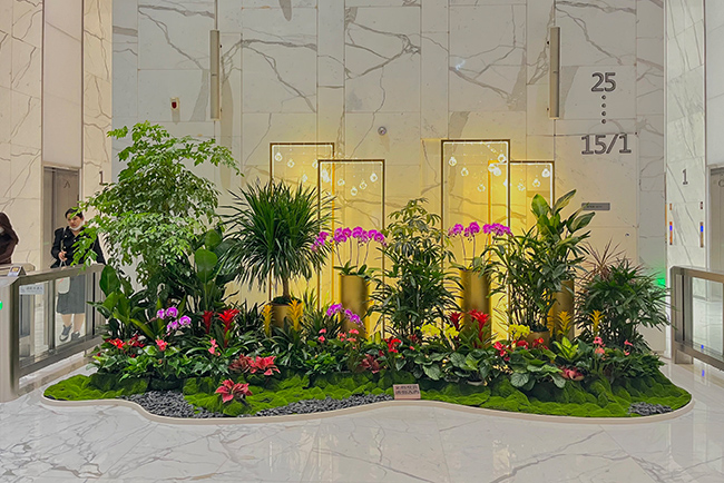 IM����԰�ֿ�������ֲ���쾰�������� ������������