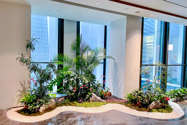 IM����԰�������̻������м�